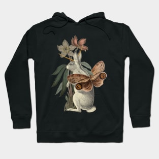 Papilio Jackalope Hoodie